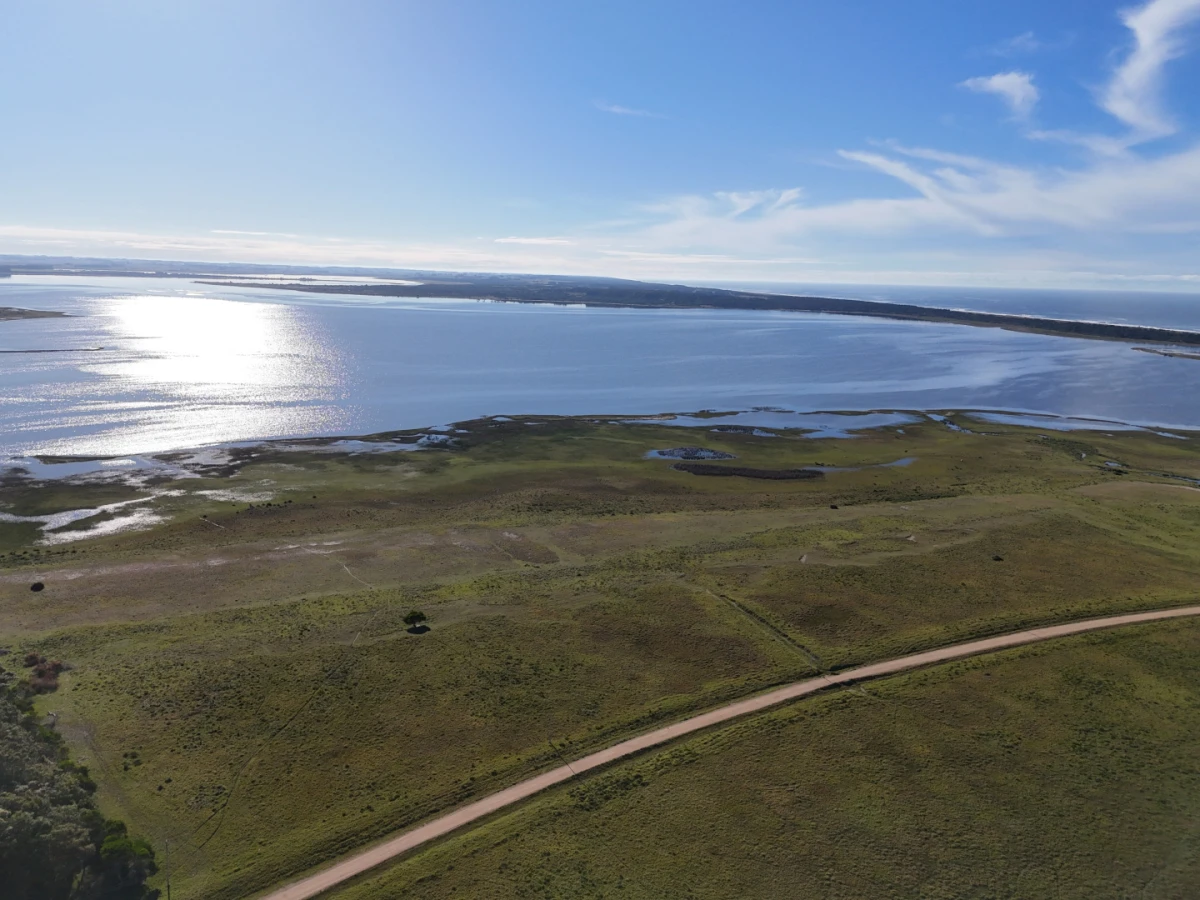 Chacras en José Ignacio — foto 7