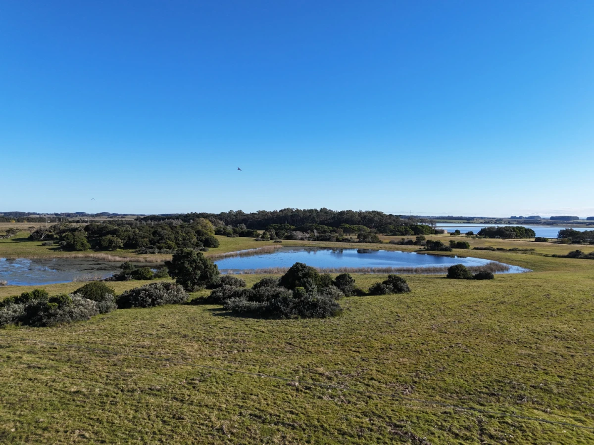 Chacras en José Ignacio — foto 5