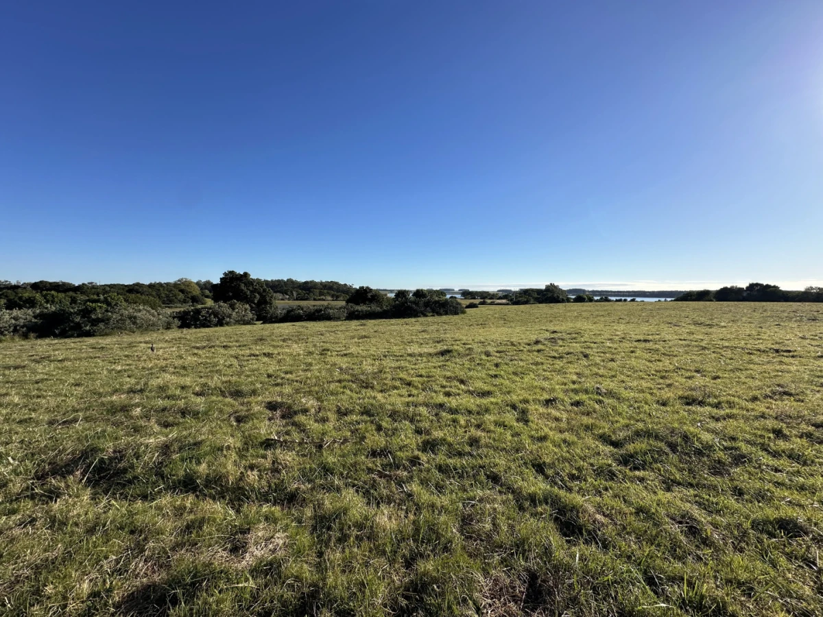 Chacras en José Ignacio — foto 9