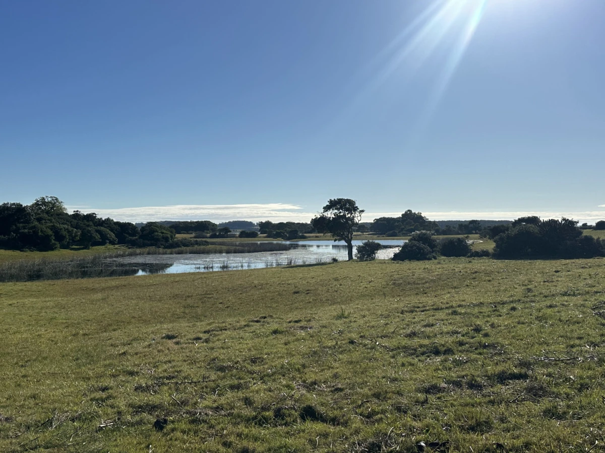 Chacras en José Ignacio — foto 10