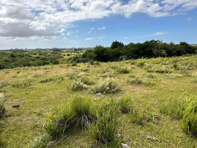 Chacra en venta en Punta del Este; Pueblo Garzón