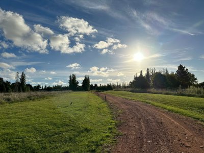 casa quinta en venta en Punta del Este
