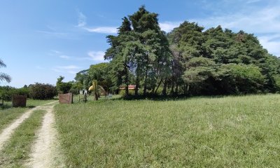 Chacra en Venta en Salto
