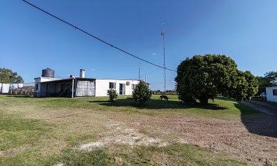Chacra en Zona Hipódromo: Oportunidad para Comprar una Propiedad Única en Producción