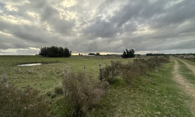 Chacra en Venta en Punta del Este