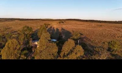 venta de chacra de 16 has con pequeño galpon  en Garzon puntas de Jose Ignacio