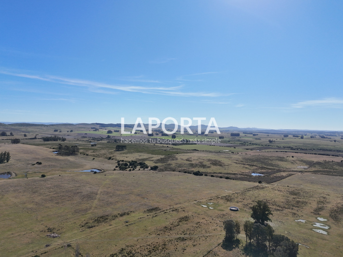 Campo Ref.1107/Campo-agrícola-ganadero-en-venta-en-Maldonado - Campo agrícola ganadero en venta en Maldonado