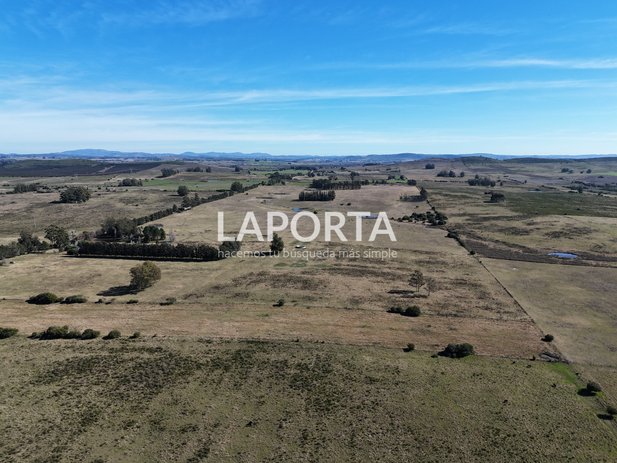 Campo Ref.1107/Campo-agrícola-ganadero-en-venta-en-Maldonado - Campo agrícola ganadero en venta en Maldonado