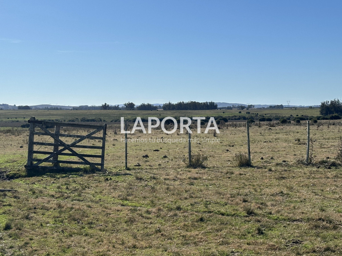 Campo Ref.1107/Campo-agrícola-ganadero-en-venta-en-Maldonado - Campo agrícola ganadero en venta en Maldonado