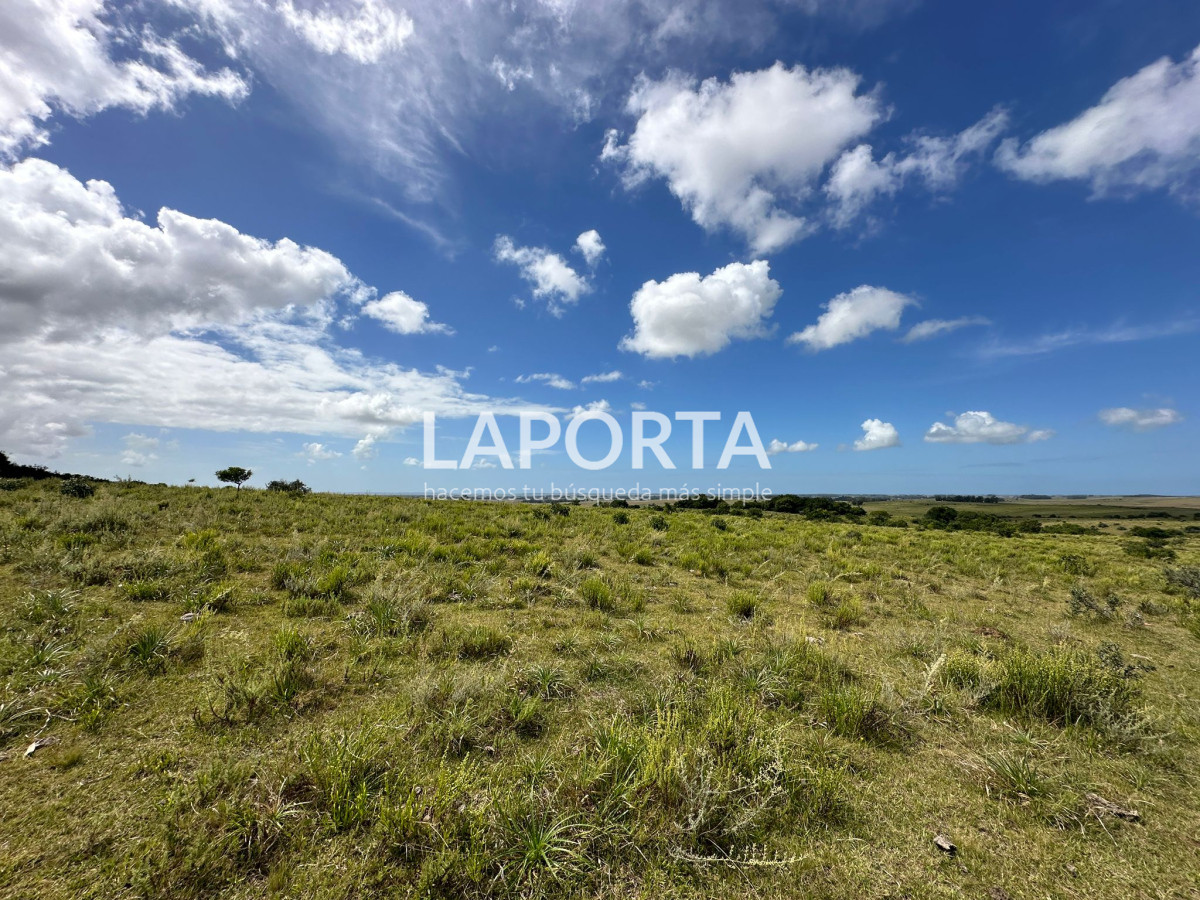 Campo Ref.647/Campo-ganadero-en-Rocha:-¡Inversión-exclusiva-cerca-de-Pueblo-Garzón! - Campo ganadero en Rocha: ¡Inversión exclusiva cerca de Pueblo Garzón!
