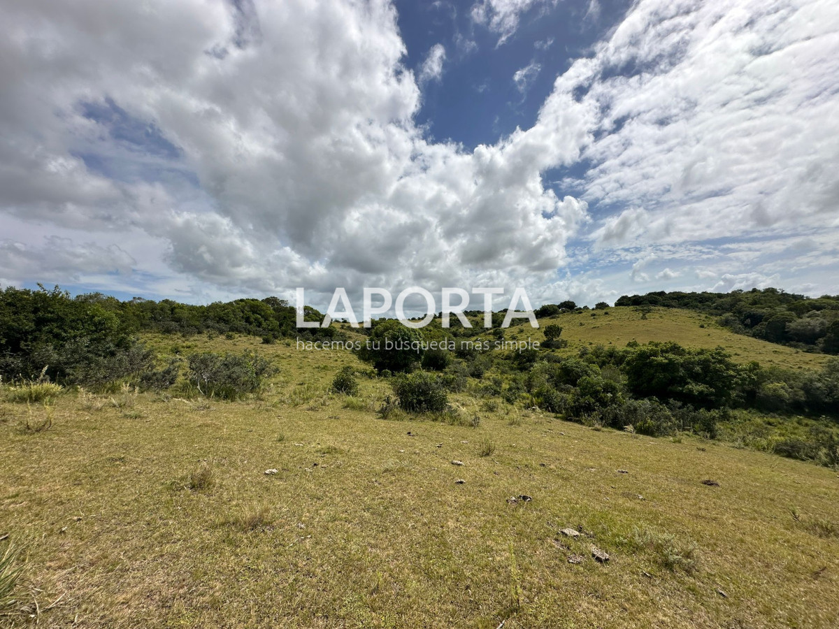 Campo Ref.647/Campo-ganadero-en-Rocha:-¡Inversión-exclusiva-cerca-de-Pueblo-Garzón! - Campo ganadero en Rocha: ¡Inversión exclusiva cerca de Pueblo Garzón!