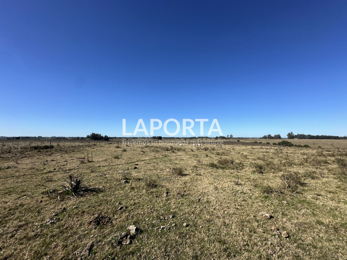 Campo Ref.1107/Campo-agrícola-ganadero-en-venta-en-Maldonado - Campo agrícola ganadero en venta en Maldonado