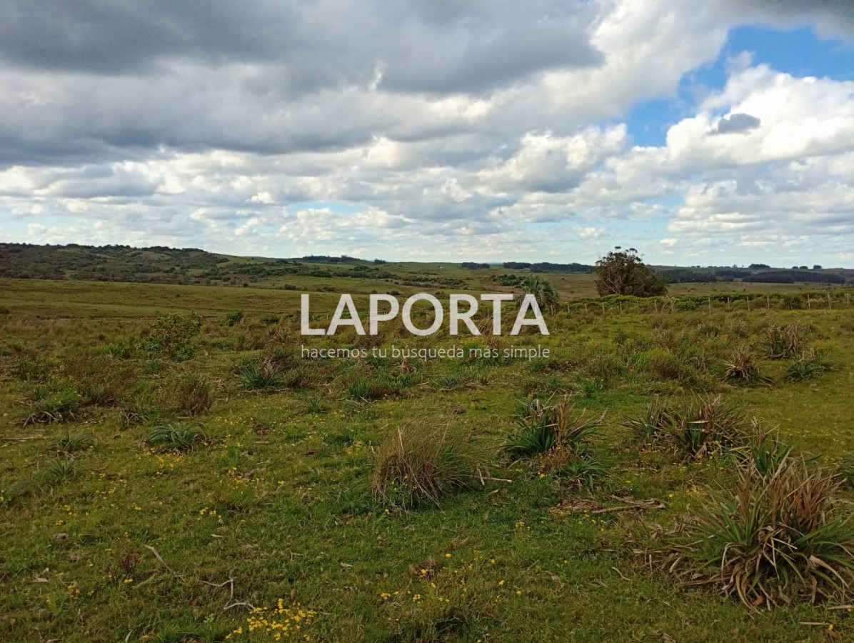 Campo Ref.647/Campo-ganadero-en-Rocha:-¡Inversión-exclusiva-cerca-de-Pueblo-Garzón! - Campo ganadero en Rocha: ¡Inversión exclusiva cerca de Pueblo Garzón!