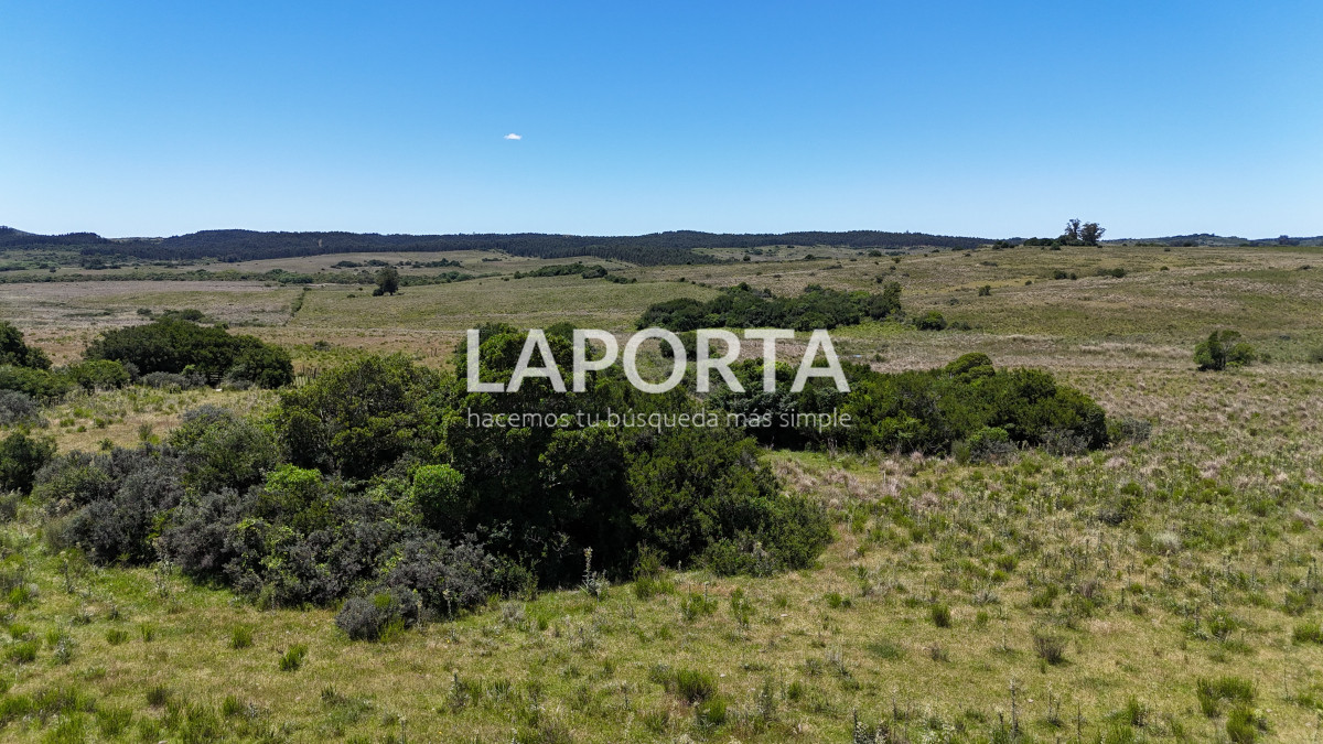 Campo Ref.543/Campo-en-Venta-en-Garzón-Maldonado-Punta-del-Este - Campo en Venta en Garzón Maldonado Punta del Este