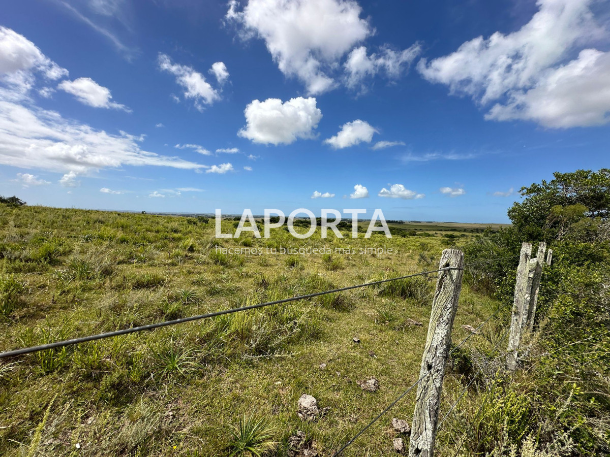 Campo Ref.647/Campo-ganadero-en-Rocha:-¡Inversión-exclusiva-cerca-de-Pueblo-Garzón! - Campo ganadero en Rocha: ¡Inversión exclusiva cerca de Pueblo Garzón!