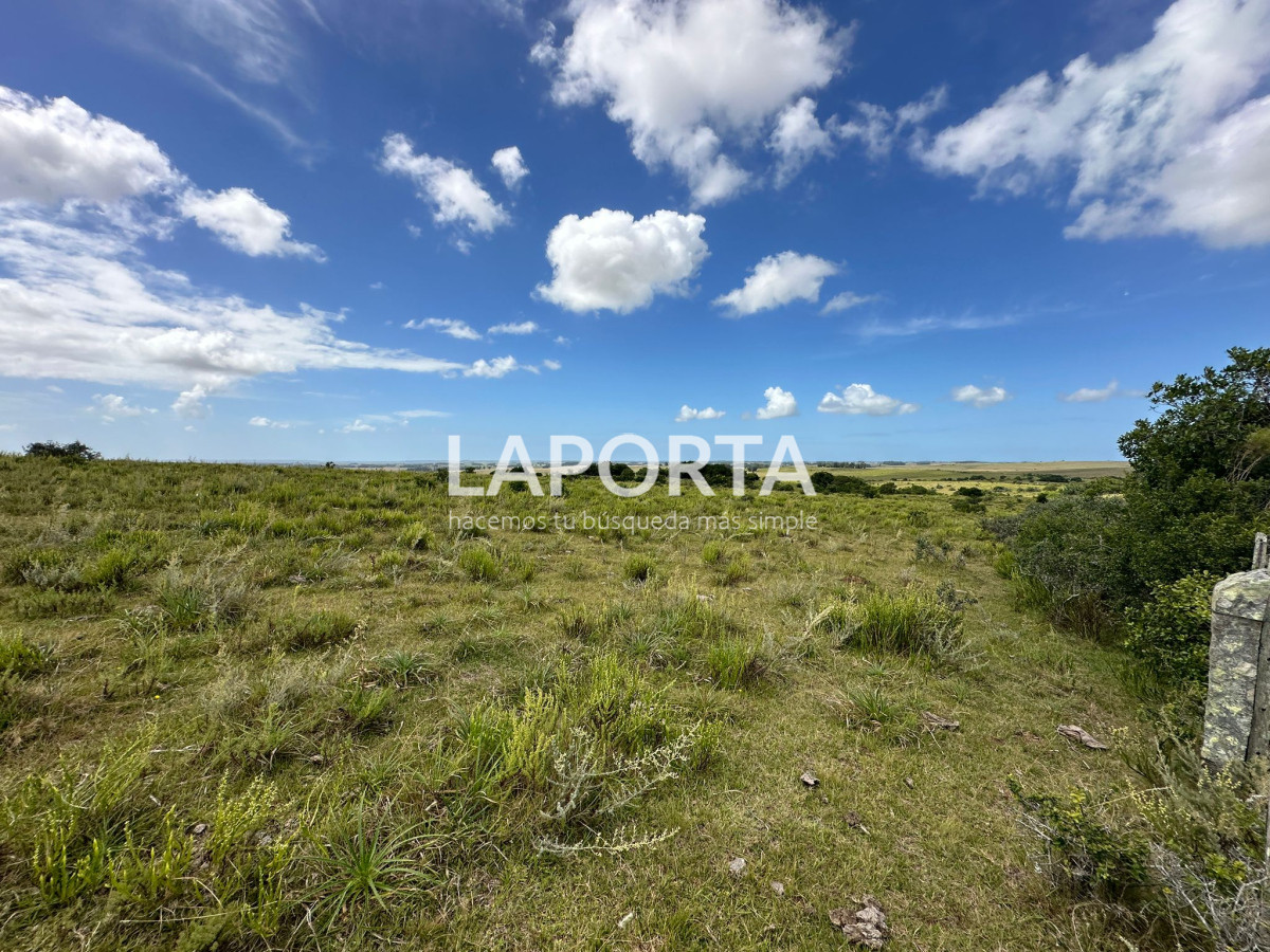 Campo Ref.647/Campo-ganadero-en-Rocha:-¡Inversión-exclusiva-cerca-de-Pueblo-Garzón! - Campo ganadero en Rocha: ¡Inversión exclusiva cerca de Pueblo Garzón!