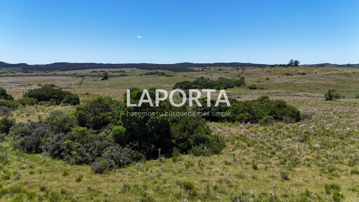 Campo Ref.543/Campo-en-Venta-en-Garzón-Maldonado-Punta-del-Este - Campo en Venta en Garzón Maldonado Punta del Este