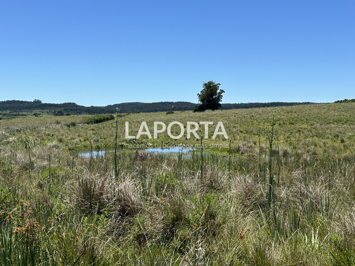 Campo Ref.543/Campo-en-Venta-en-Garzón-Maldonado-Punta-del-Este - Campo en Venta en Garzón Maldonado Punta del Este