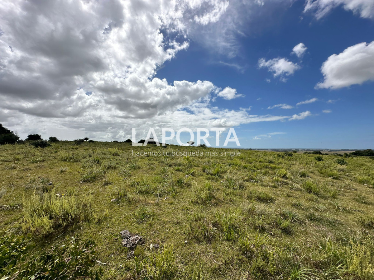 Campo Ref.647/Campo-ganadero-en-Rocha:-¡Inversión-exclusiva-cerca-de-Pueblo-Garzón! - Campo ganadero en Rocha: ¡Inversión exclusiva cerca de Pueblo Garzón!