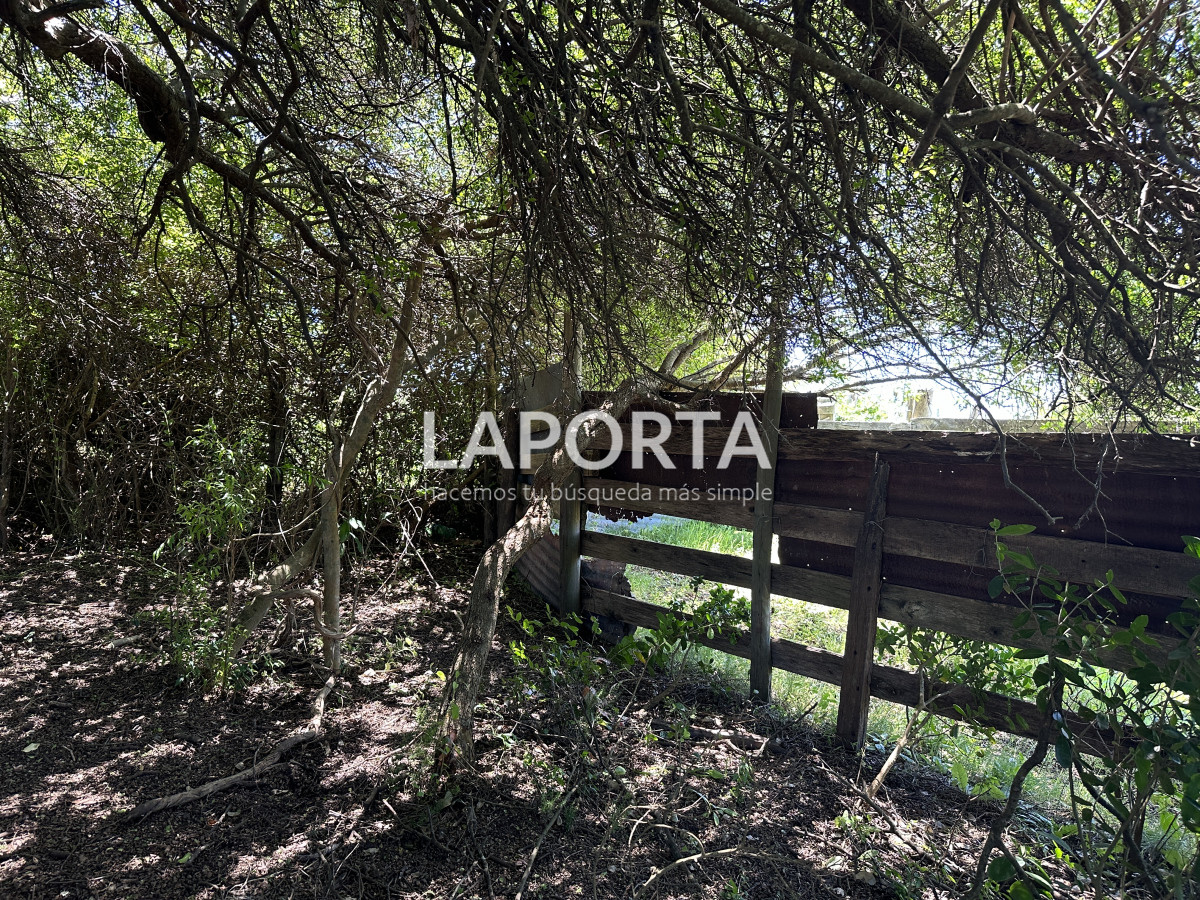 Campo Ref.543/Campo-en-Venta-en-Garzón-Maldonado-Punta-del-Este - Campo en Venta en Garzón Maldonado Punta del Este