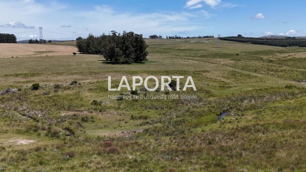 Campo Ref.568/Campo-Turístico-y-Ganadero-en-venta-en-Maldonado,-Punta-del-Este - Campo Turístico y Ganadero en venta en Maldonado, Punta del Este