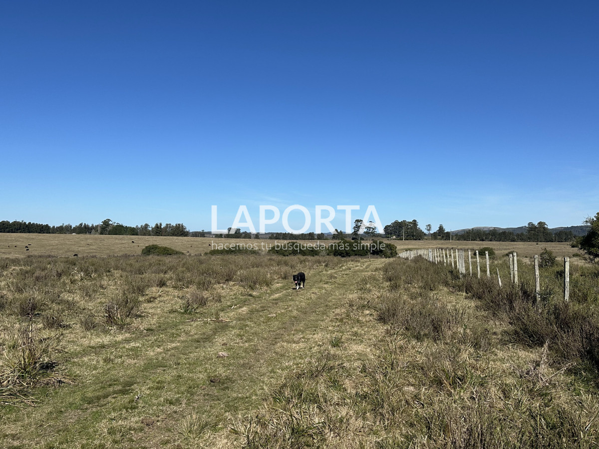 Campo Ref.1107/Campo-agrícola-ganadero-en-venta-en-Maldonado - Campo agrícola ganadero en venta en Maldonado