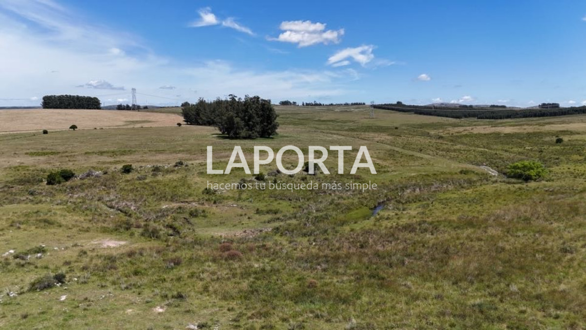 Campo Ref.568/Campo-Turístico-y-Ganadero-en-venta-en-Maldonado,-Punta-del-Este - Campo Turístico y Ganadero en venta en Maldonado, Punta del Este