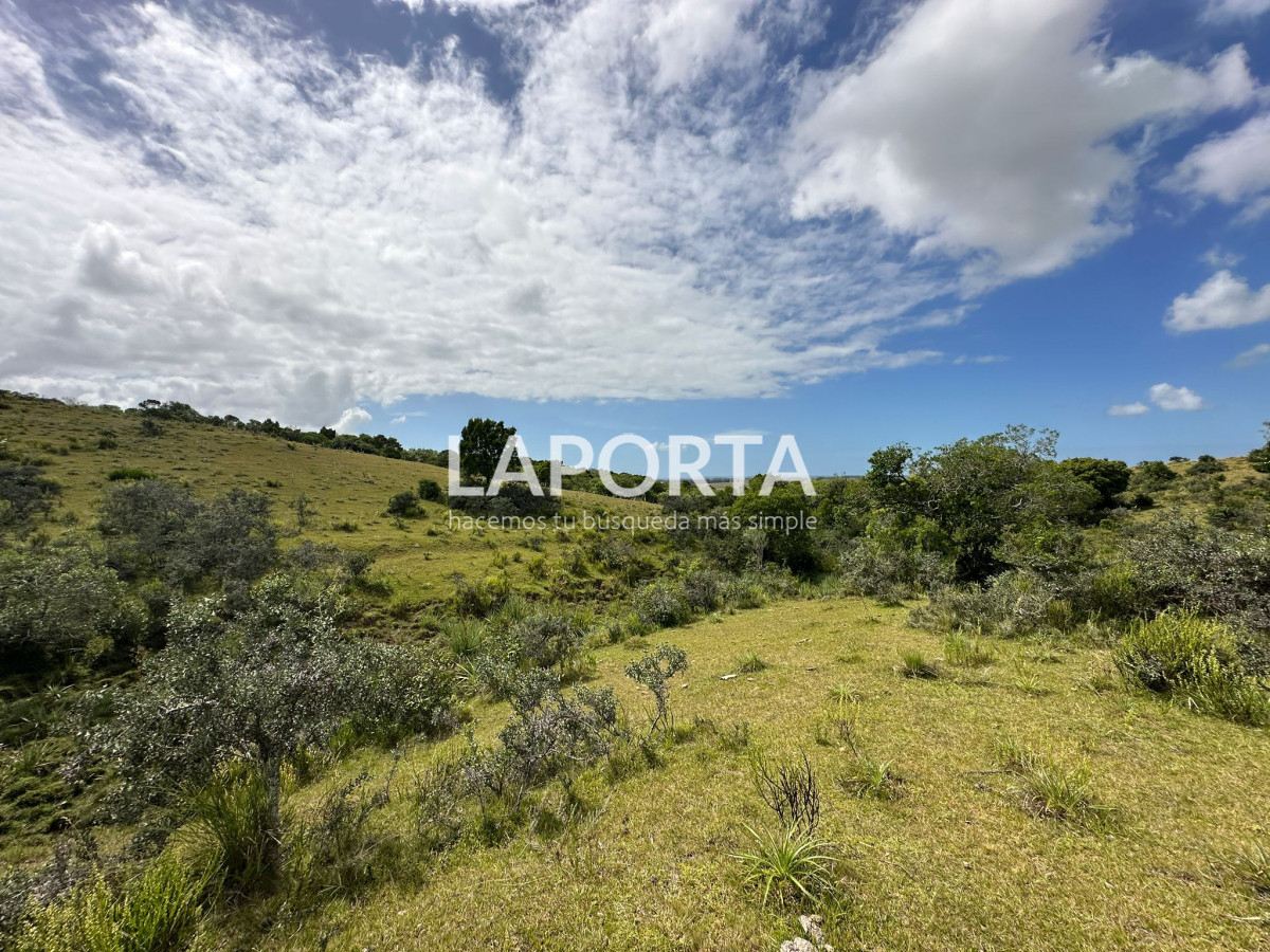 Campo Ref.647/Campo-ganadero-en-Rocha:-¡Inversión-exclusiva-cerca-de-Pueblo-Garzón! - Campo ganadero en Rocha: ¡Inversión exclusiva cerca de Pueblo Garzón!