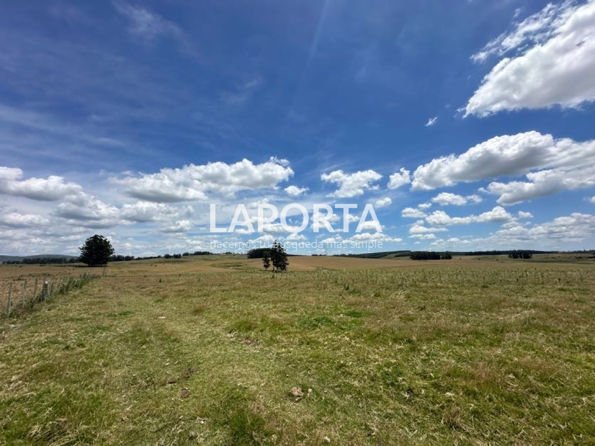 Campo Ref.568/Campo-Turístico-y-Ganadero-en-venta-en-Maldonado,-Punta-del-Este - Campo Turístico y Ganadero en venta en Maldonado, Punta del Este