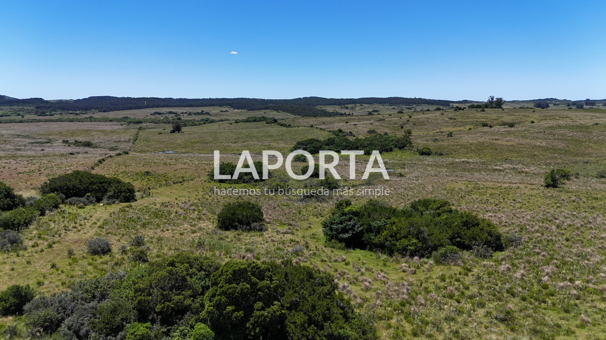 Campo Ref.543/Campo-en-Venta-en-Garzón-Maldonado-Punta-del-Este - Campo en Venta en Garzón Maldonado Punta del Este
