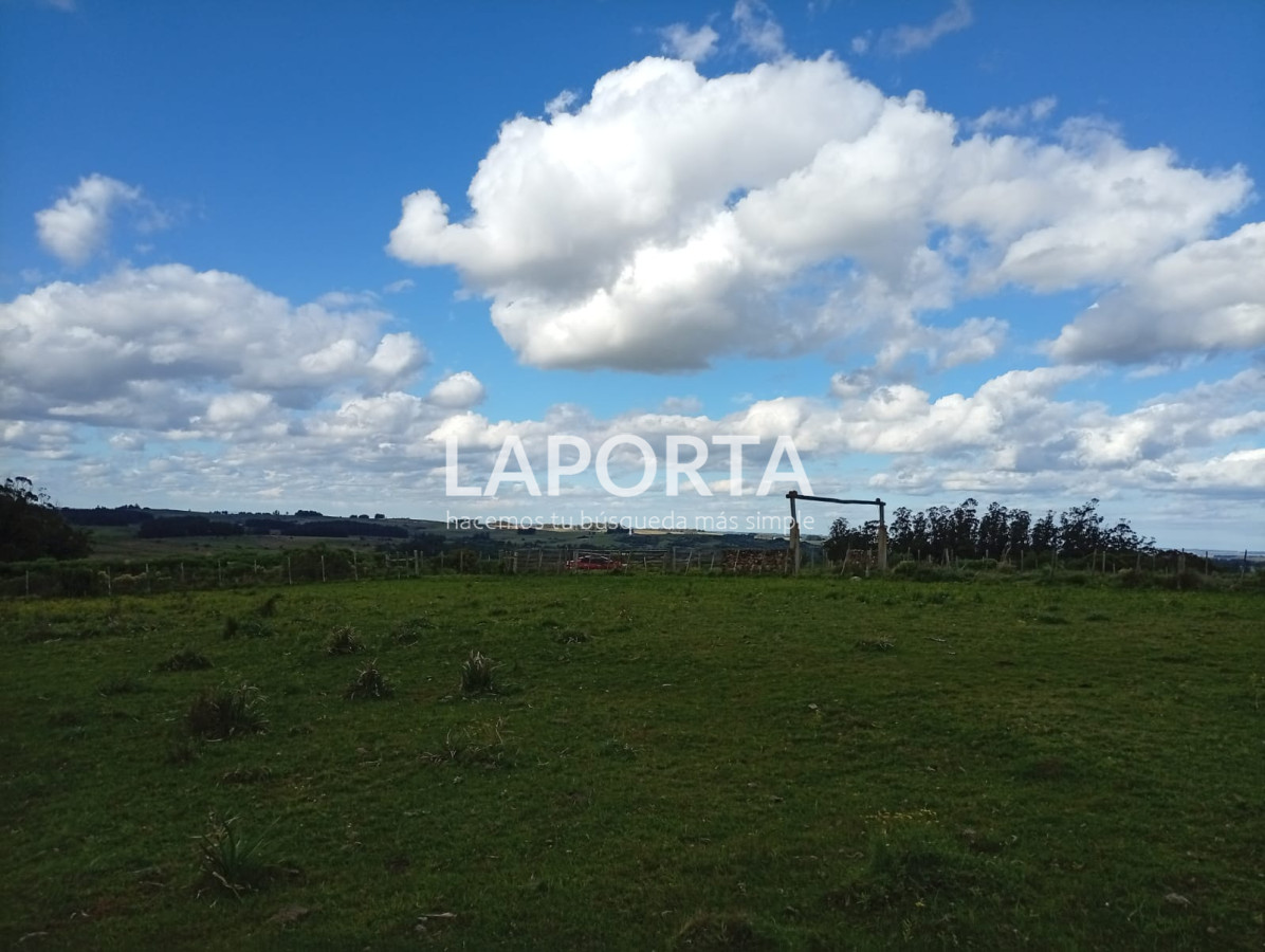 Campo Ref.647/Campo-ganadero-en-Rocha:-¡Inversión-exclusiva-cerca-de-Pueblo-Garzón! - Campo ganadero en Rocha: ¡Inversión exclusiva cerca de Pueblo Garzón!
