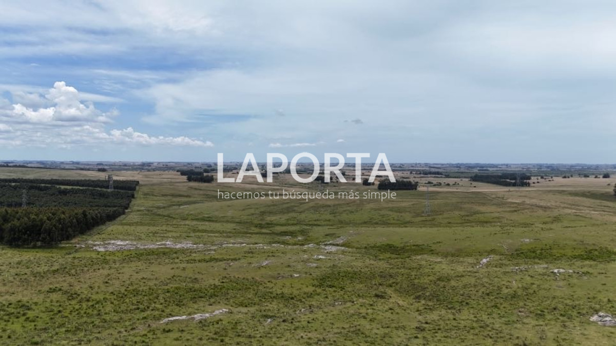 Campo Ref.568/Campo-Turístico-y-Ganadero-en-venta-en-Maldonado,-Punta-del-Este - Campo Turístico y Ganadero en venta en Maldonado, Punta del Este
