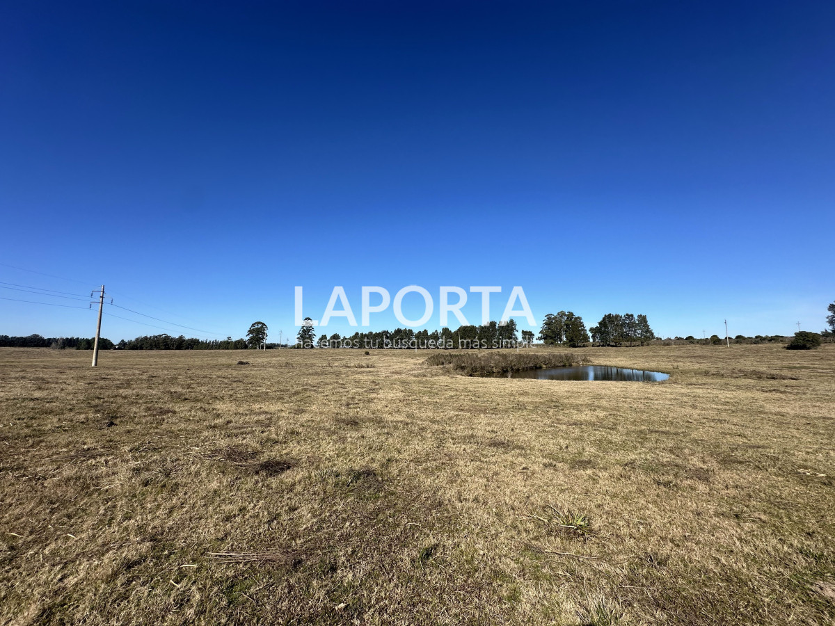 Campo Ref.1107/Campo-agrícola-ganadero-en-venta-en-Maldonado - Campo agrícola ganadero en venta en Maldonado