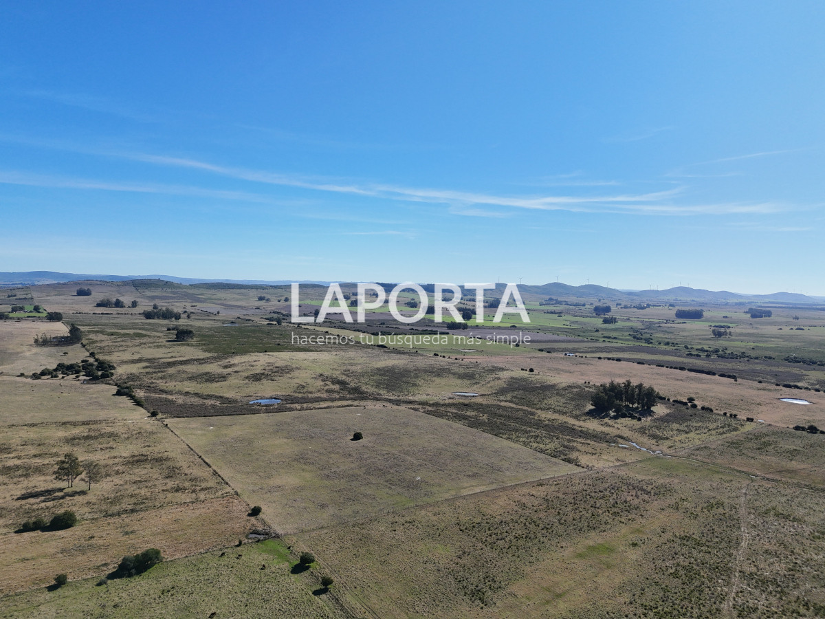 Campo Ref.1107/Campo-agrícola-ganadero-en-venta-en-Maldonado - Campo agrícola ganadero en venta en Maldonado