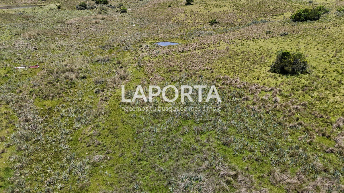 Campo Ref.543/Campo-en-Venta-en-Garzón-Maldonado-Punta-del-Este - Campo en Venta en Garzón Maldonado Punta del Este