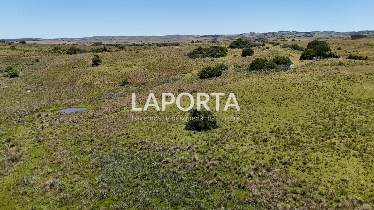 Campo Ref.543/Campo-en-Venta-en-Garzón-Maldonado-Punta-del-Este - Campo en Venta en Garzón Maldonado Punta del Este