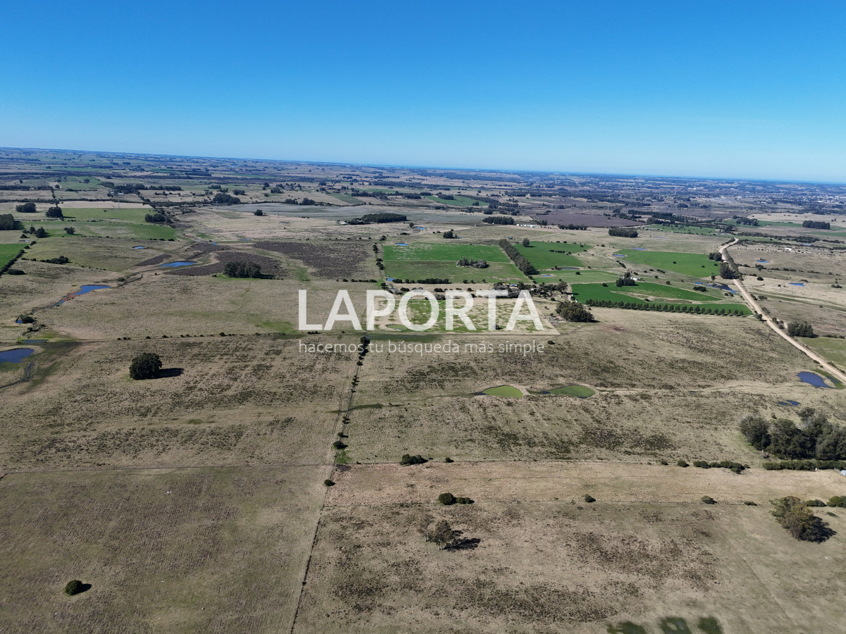 Campo Ref.1107/Campo-agrícola-ganadero-en-venta-en-Maldonado - Campo agrícola ganadero en venta en Maldonado