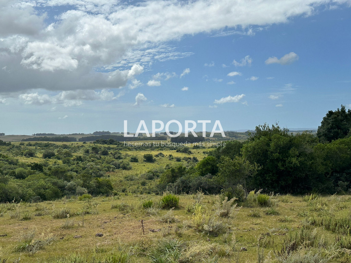 Campo Ref.647/Campo-ganadero-en-Rocha:-¡Inversión-exclusiva-cerca-de-Pueblo-Garzón! - Campo ganadero en Rocha: ¡Inversión exclusiva cerca de Pueblo Garzón!