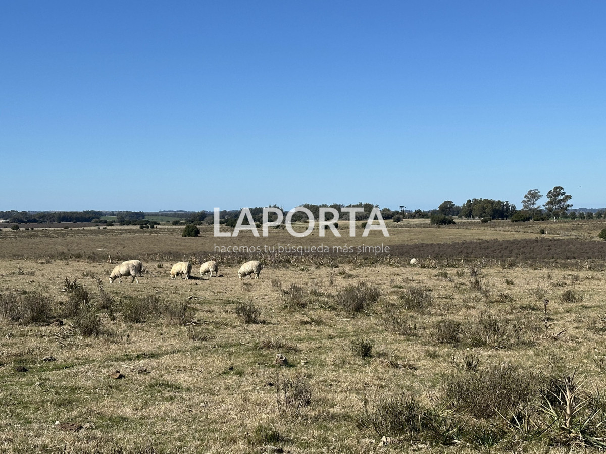 Campo Ref.1107/Campo-agrícola-ganadero-en-venta-en-Maldonado - Campo agrícola ganadero en venta en Maldonado