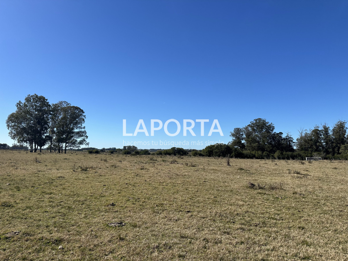 Campo Ref.1107/Campo-agrícola-ganadero-en-venta-en-Maldonado - Campo agrícola ganadero en venta en Maldonado