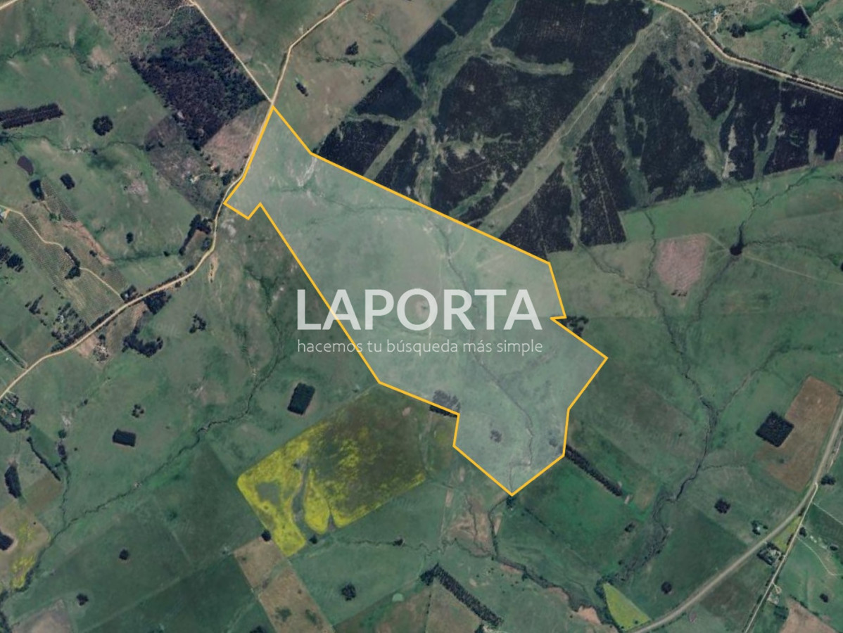 Campo Ref.568/Campo-Turístico-y-Ganadero-en-venta-en-Maldonado,-Punta-del-Este - Campo Turístico y Ganadero en venta en Maldonado, Punta del Este