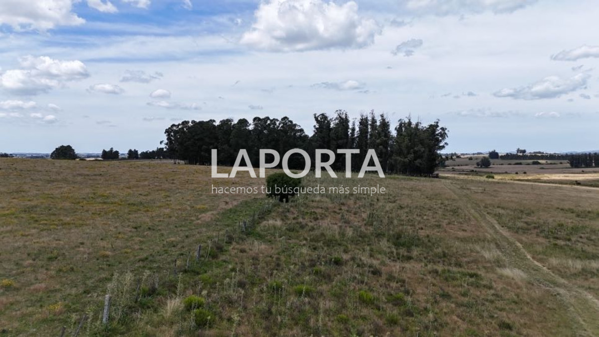 Campo Ref.568/Campo-Turístico-y-Ganadero-en-venta-en-Maldonado,-Punta-del-Este - Campo Turístico y Ganadero en venta en Maldonado, Punta del Este