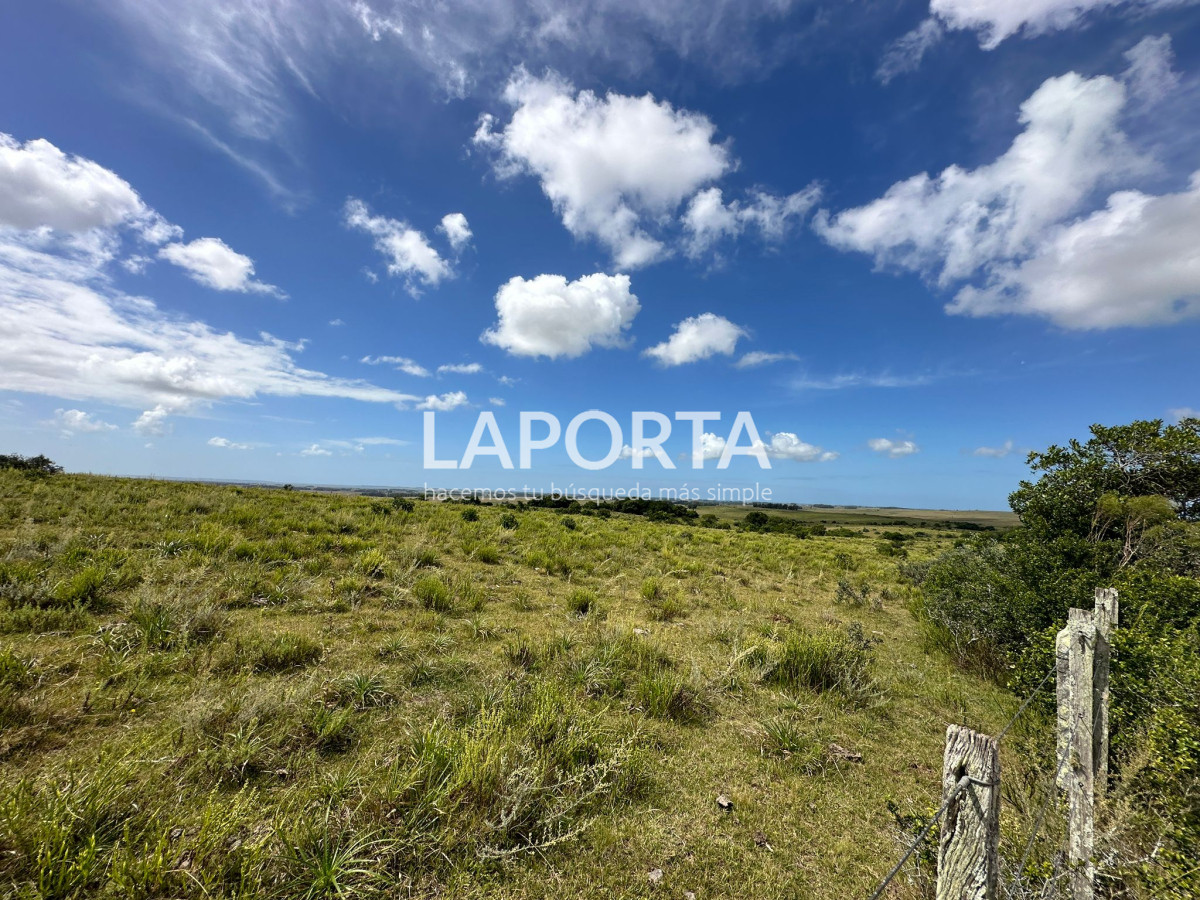 Campo Ref.647/Campo-ganadero-en-Rocha:-¡Inversión-exclusiva-cerca-de-Pueblo-Garzón! - Campo ganadero en Rocha: ¡Inversión exclusiva cerca de Pueblo Garzón!
