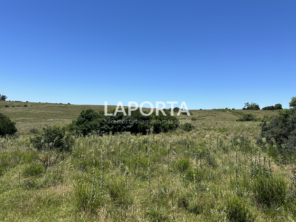 Campo Ref.543/Campo-en-Venta-en-Garzón-Maldonado-Punta-del-Este - Campo en Venta en Garzón Maldonado Punta del Este