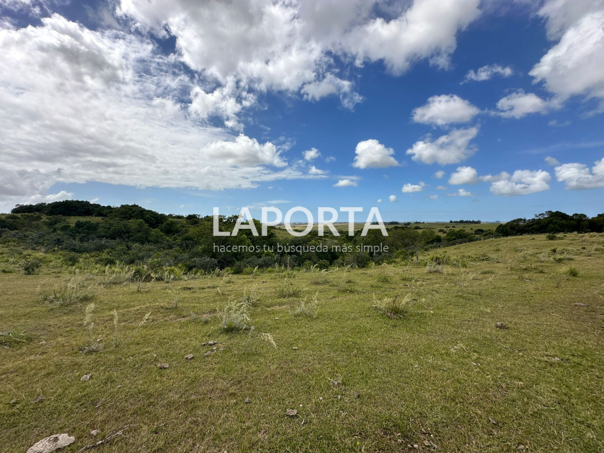 Campo Ref.647/Campo-ganadero-en-Rocha:-¡Inversión-exclusiva-cerca-de-Pueblo-Garzón! - Campo ganadero en Rocha: ¡Inversión exclusiva cerca de Pueblo Garzón!