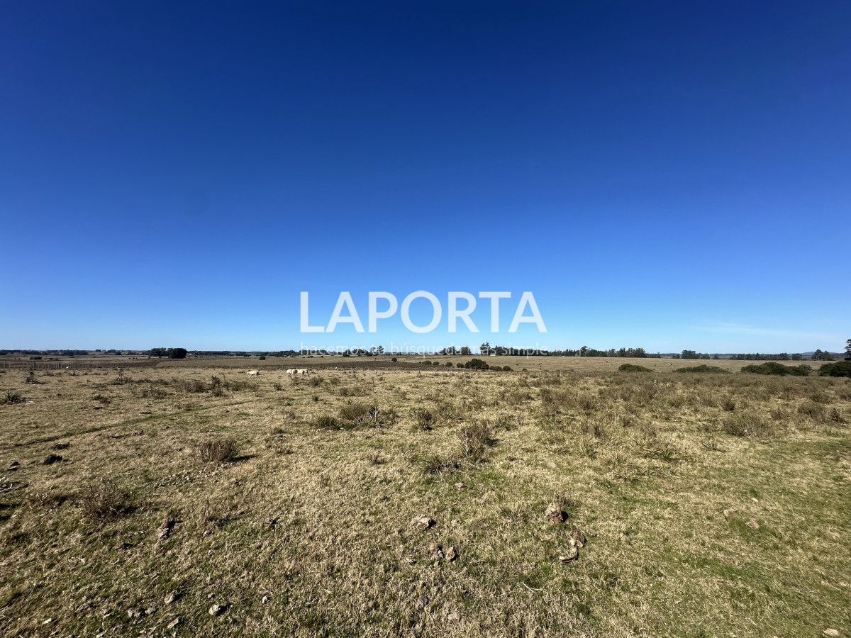 Campo Ref.1107/Campo-agrícola-ganadero-en-venta-en-Maldonado - Campo agrícola ganadero en venta en Maldonado