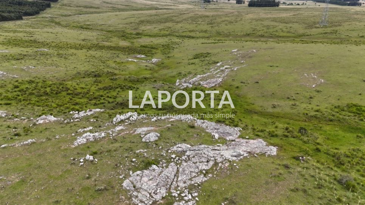 Campo Ref.568/Campo-Turístico-y-Ganadero-en-venta-en-Maldonado,-Punta-del-Este - Campo Turístico y Ganadero en venta en Maldonado, Punta del Este
