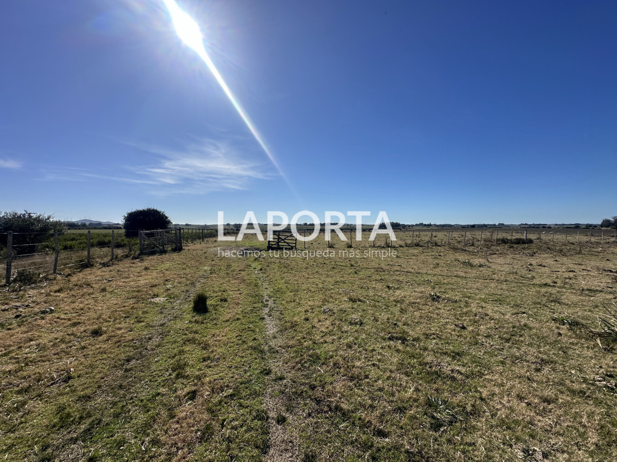 Campo Ref.1107/Campo-agrícola-ganadero-en-venta-en-Maldonado - Campo agrícola ganadero en venta en Maldonado