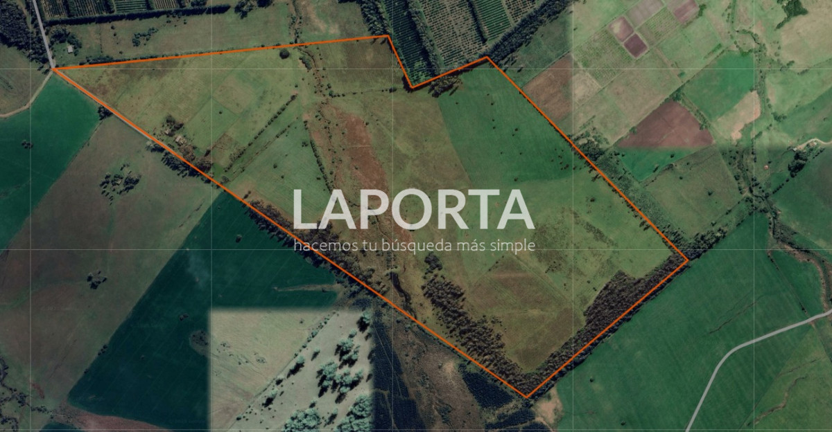 Campo Ref.801/Campo-productivo-en-zona-estratégica-de-Paysandú - Campo productivo en zona estratégica de Paysandú