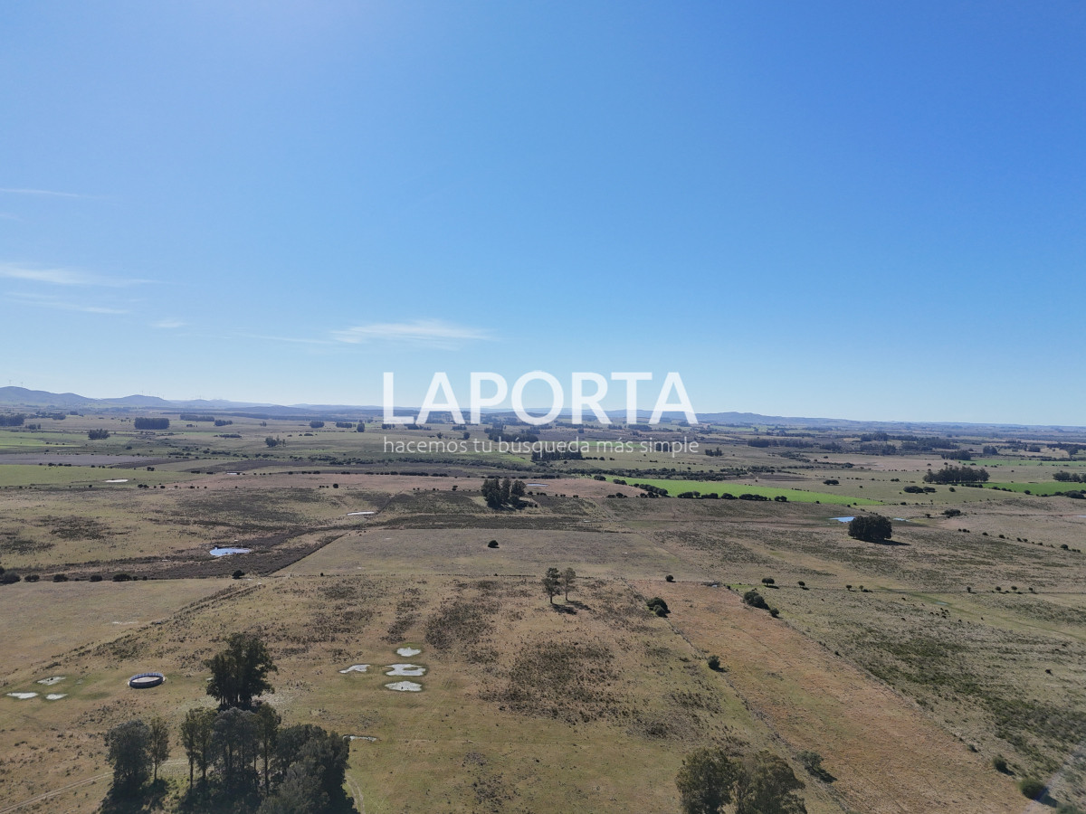 Campo Ref.1107/Campo-agrícola-ganadero-en-venta-en-Maldonado - Campo agrícola ganadero en venta en Maldonado